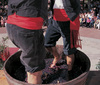 Art, culture, traditions, sightseeing - Spain Logroo - Tour - photo image