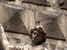 Art, culture, traditions, sightseeing - Italy Piazza Nicola Amore - Tour - photo image