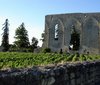 Art, culture, traditions, sightseeing - France Bordeaux - Tour - photo image