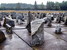 Out of the Ordinary Hidden culture - Poland Treblinka - Tour - photo image