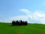 Tuscany Guide Silvia -  -  - photo image