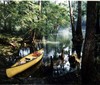 Active, adventure & nature - United States Gainesville - Tour - photo image