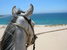 Active, adventure & nature - Spain Tarifa - Tour - photo image