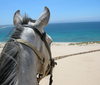 Active, adventure & nature - Spain Tarifa - Tour - photo image