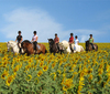 Art, culture, traditions, sightseeing - Spain Jerez De La Frontera - Tour - photo image