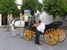 Art, culture, traditions, sightseeing - Spain Seville - Tour - photo image