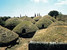 Out of the Ordinary Hidden culture - Italy Cerveteri RM - Tour - photo image