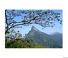 Art, culture, traditions, sightseeing - Brazil Rio de Janeiro - RJ - Tour - photo image