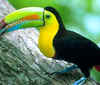 Active, adventure & nature - Panama Ciudad de Panam - Tour - photo image