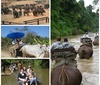 Art, culture, traditions, sightseeing - Thailand เชียงใหม่ - Tour - photo image