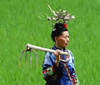 Art, culture, traditions, sightseeing - China 桂林市 - Tour - photo image