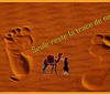 Active, adventure & nature - Morocco Marrakech - Tour - photo image