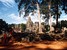 Art, culture, traditions, sightseeing - Cambodia Siem Reap - Tour - photo image